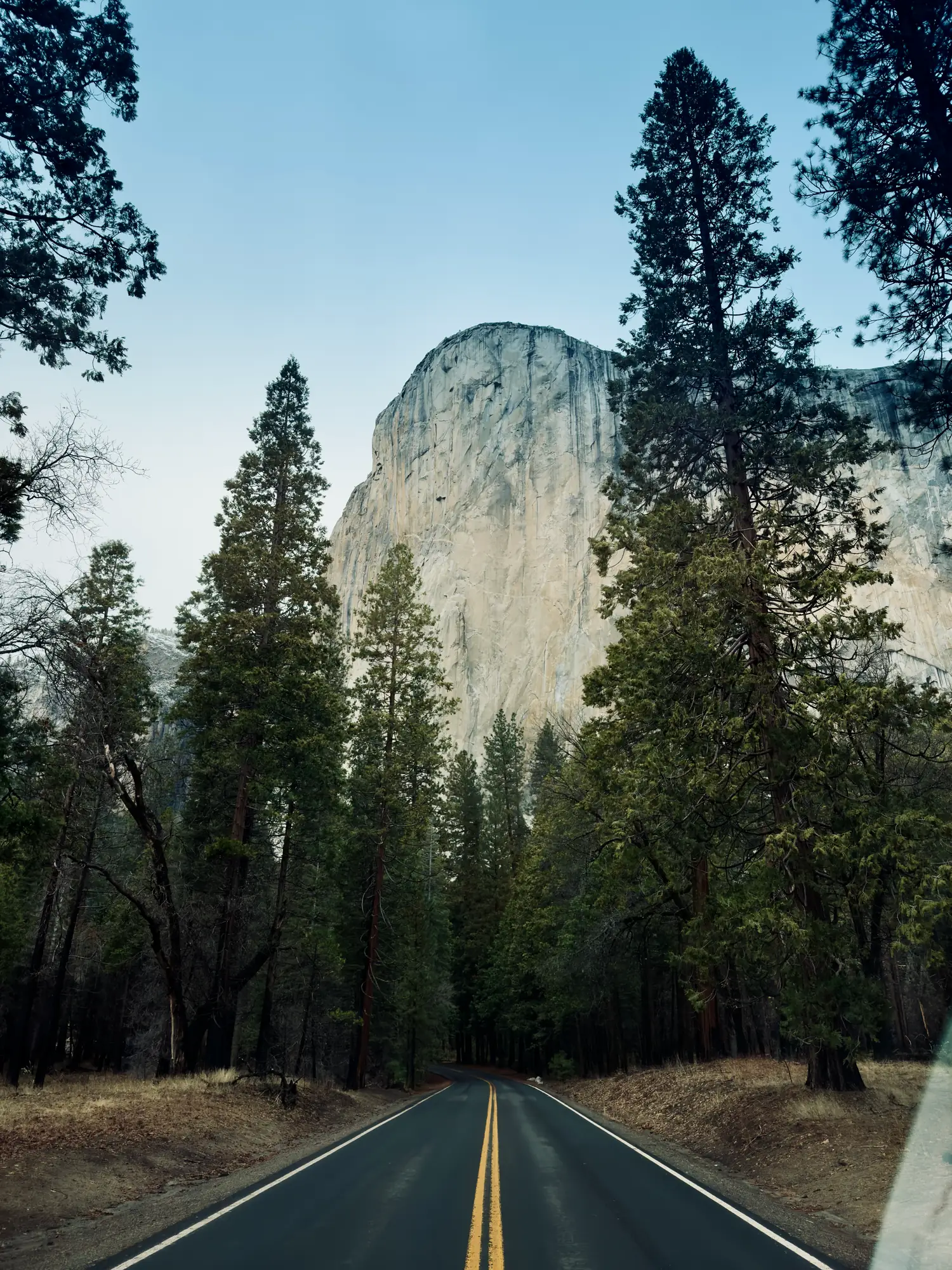 Yosemite Picture Taken From Car